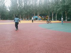 -青城公园