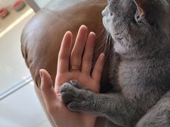 -川人百味(万达店)