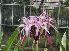 -南通洲际绿博园