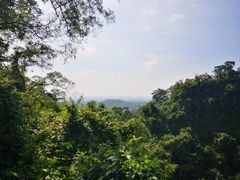 -海口火山口国家地质公园