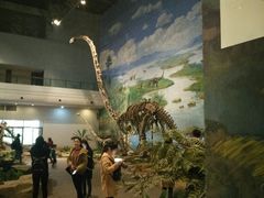 -自贡恐龙博物馆