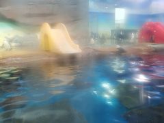 -海合安武汉极地海洋公园