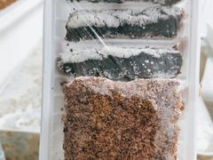 -阿妈妮韩式打糕店