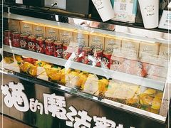 -猫的魔法密林(衣裳街店)