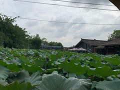-莫催咖啡