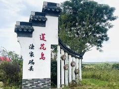 -莲花岛景区