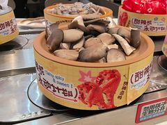 -龍歌自助小火锅(李沧丽达店)