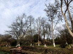 -西溪国家湿地公园