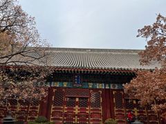-香山公园