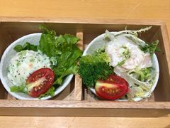 沙拉-胜博殿日式炸猪排(西红门店)