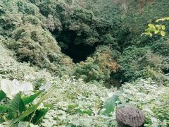 -海口火山口国家地质公园