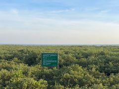 -北海金海湾红树林生态旅游区