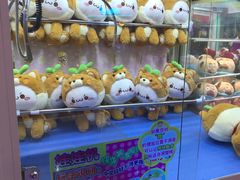 -汤姆熊欢乐世界(光启城店)