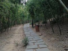 -宝界山林公园