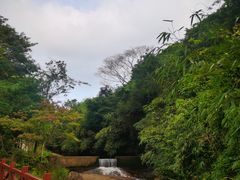 -广州市石门国家森林公园