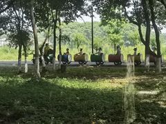 -乌村