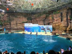 -杭州长乔极地海洋公园