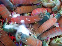 -醉壹号海鲜大排档(厦门美食地标店)