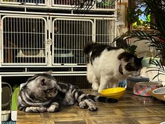 -小时光咖啡馆(北锣鼓巷店)