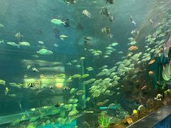 -大明湖海底世界