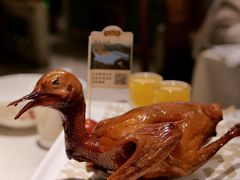 红烧鸽-大鸽饭(岗顶店)