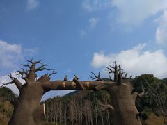 -梅岭月亮湾山体公园