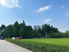-大望京公园