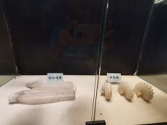 -广东惠东海龟国家级自然保护区