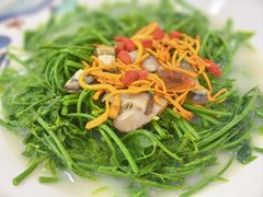 -绿雅居原生态农庄(小涌店)