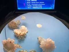 -常州海昌海洋探索馆