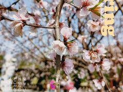 -三里河公园