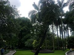 -晓港公园