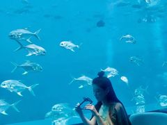 -瑞德姆美人鱼海底演艺主题餐厅(亚龙湾店)