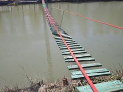 -东方巨龟苑景区