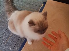 -零纪元VR体验馆·桌游(黄浦店)