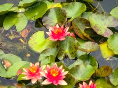 -国家植物园南园