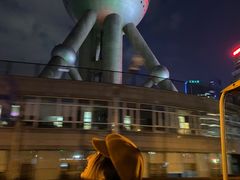 -BUS TOUR观光巴士