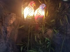 -简洛澜山酒店(武汉光谷步行街店)