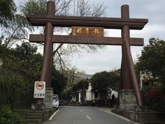-龙井村