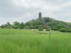 -红花山公园