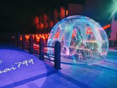-上海崇明金茂凯悦酒店