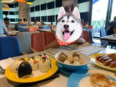 -帝企鹅自助餐厅•儿童岛•真企鹅(长隆企鹅酒店)