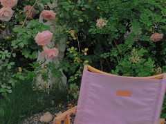 -Jo's Garden