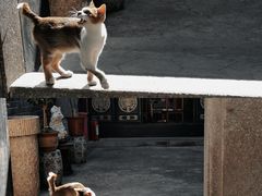 -吴祥记潮州菜·百年老字号·砂锅粥