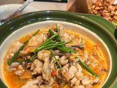 酸辣跳跳蛙-费大厨辣椒炒肉(7mall店)