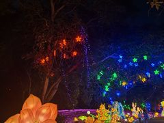 -广西壮族自治区药用植物园