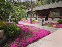 -红螺寺