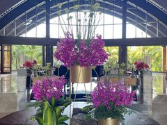 -三亚湾海居铂尔曼度假酒店