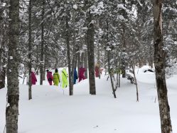 -大秃顶子山
