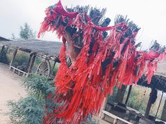 -水洞沟旅游区